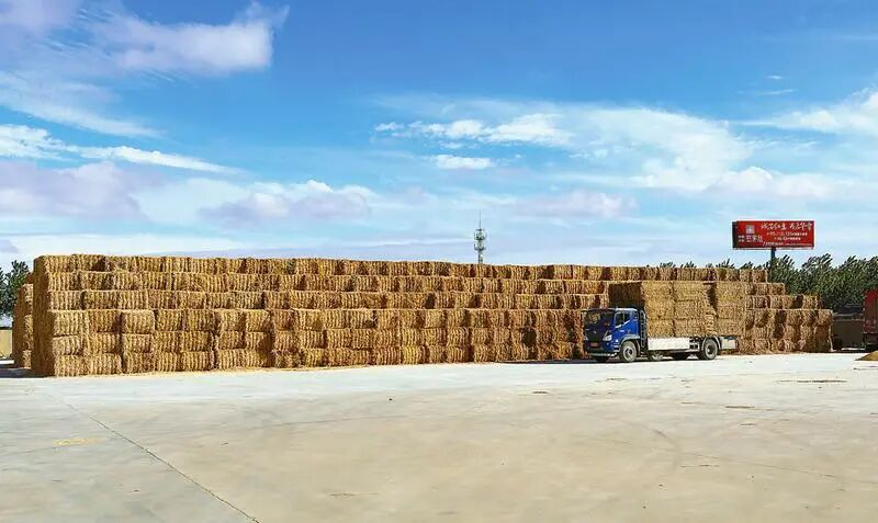 1770603839520836.png 2222222222222223.png