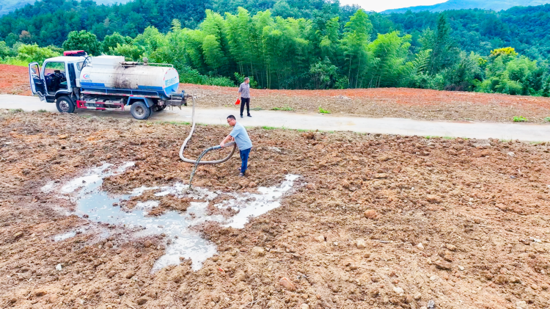 1770603860107723.png 33333333333333333.png