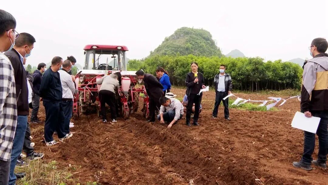 1770603901123004.jpg 555555555555555.jpg