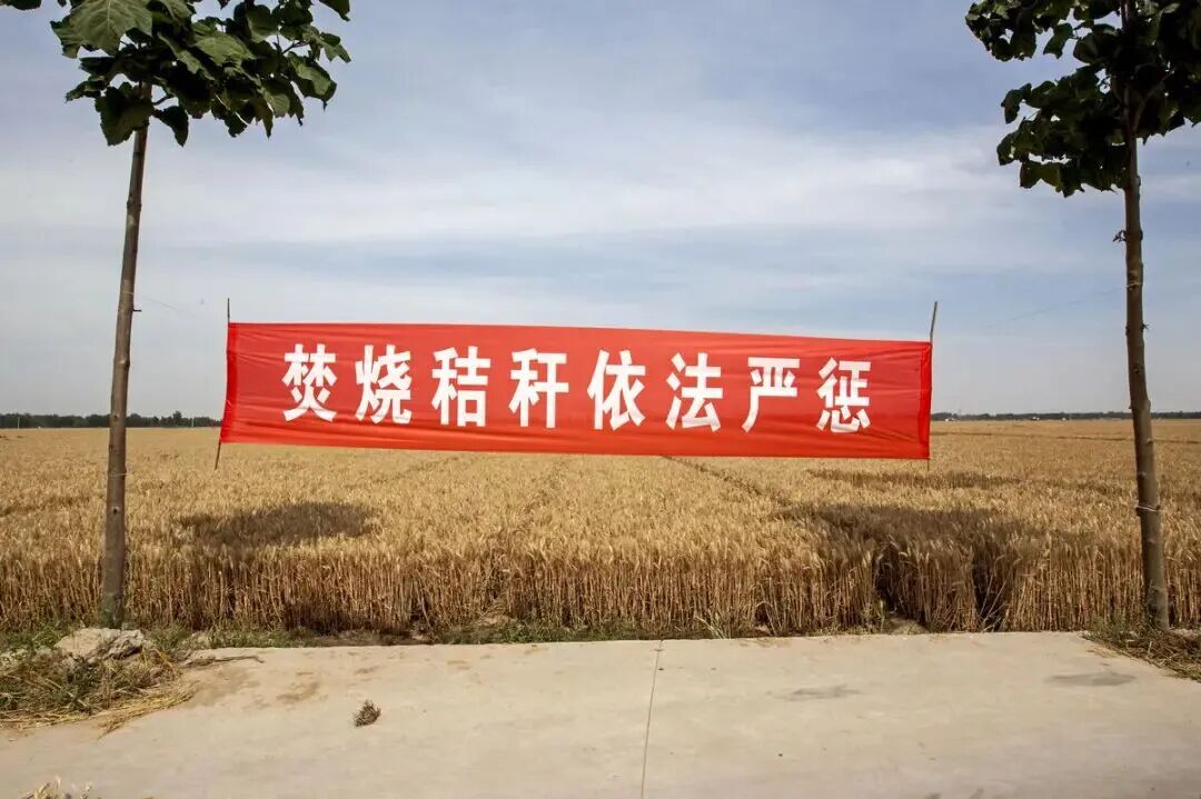 1770604116941541.jpg 0000000000000000.jpg