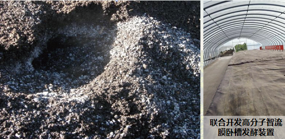 1770604259702132.png CCCCCCCCCCCCCCCCCCC.png