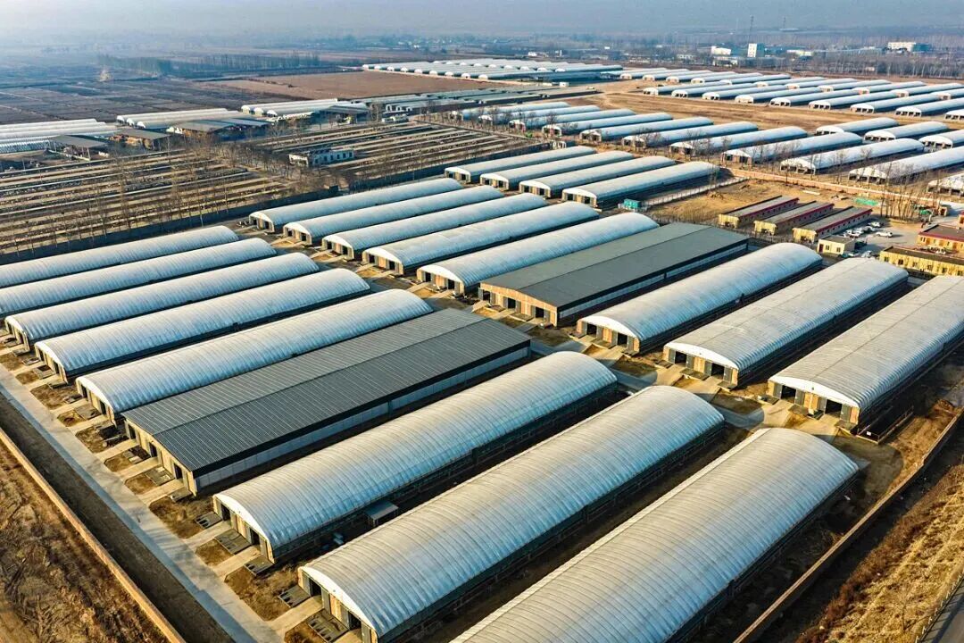 1770604651536779.jpg 嘎嘎嘎嘎嘎嘎嘎嘎嘎嘎嘎嘎.jpg