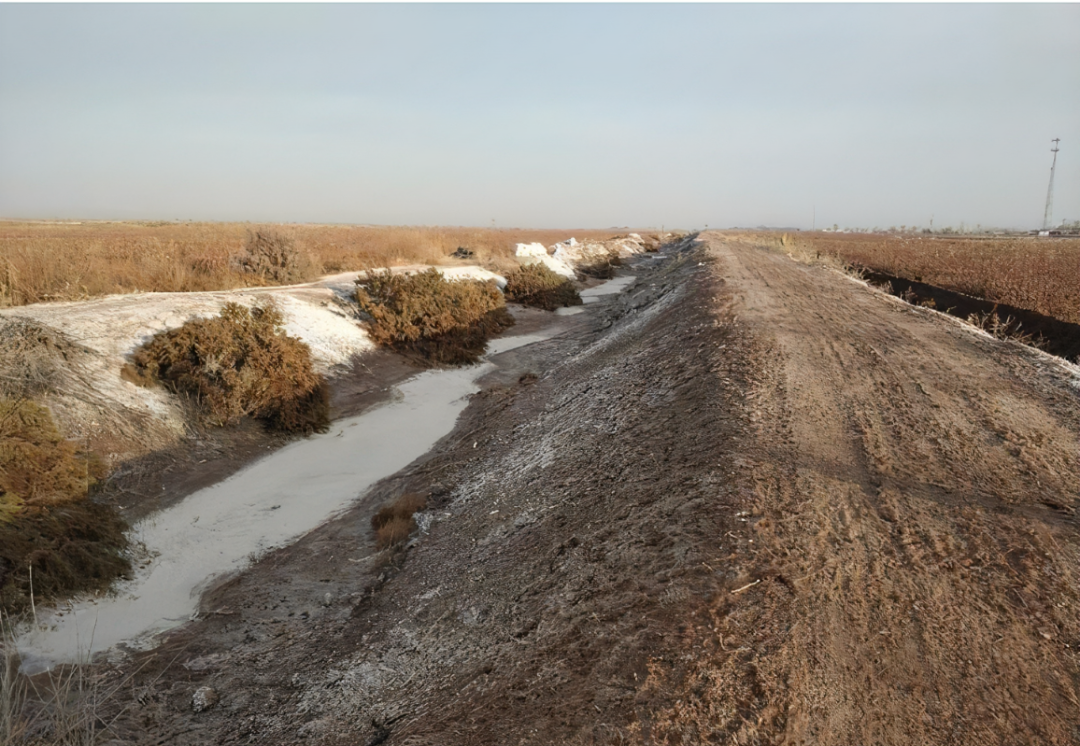 1770604705890495.png 少时诵诗书少时诵诗书飒飒飒.png